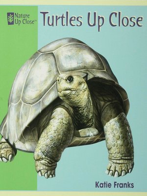 cover image of Turtles Up Close